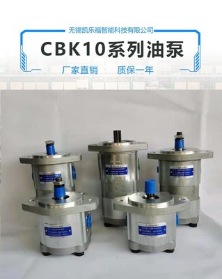 CBK1008-B3FL
